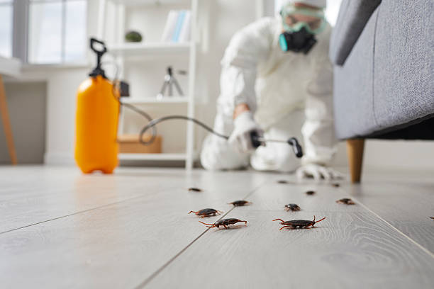 Trusted Cockroach Control service in Lonaconing, MD - Nex Pest Control