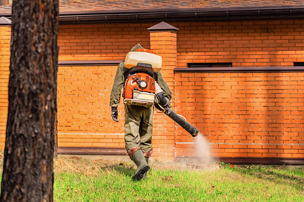 Trusted Termite Control service in Lonaconing, MD - Nex Pest Control
